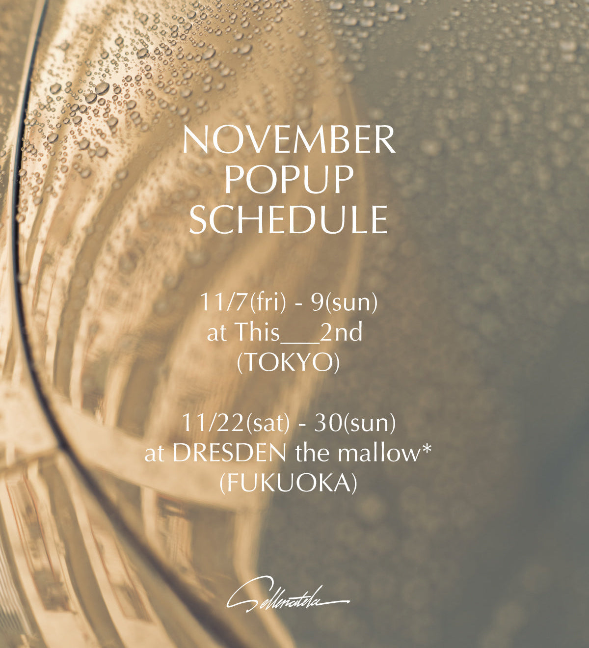 11月 POPUP SCHEDULE
