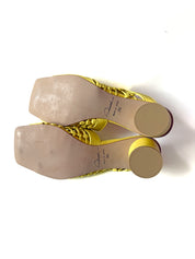 SAMPLE 13 - size 36